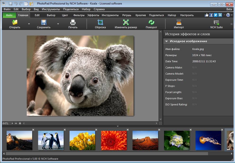 NCH PhotoPad Image Editor 11.47 free download