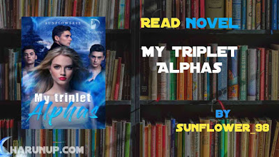 Read My triplet Alphas Novel Full Episode