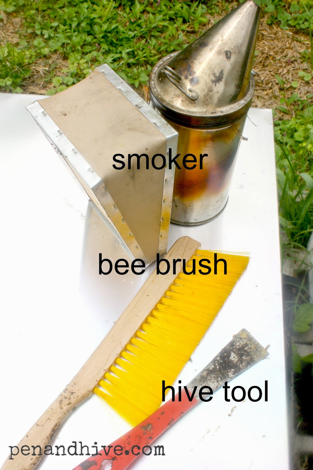 Pen & Hive 10 Things You Need to Start Keeping Bees