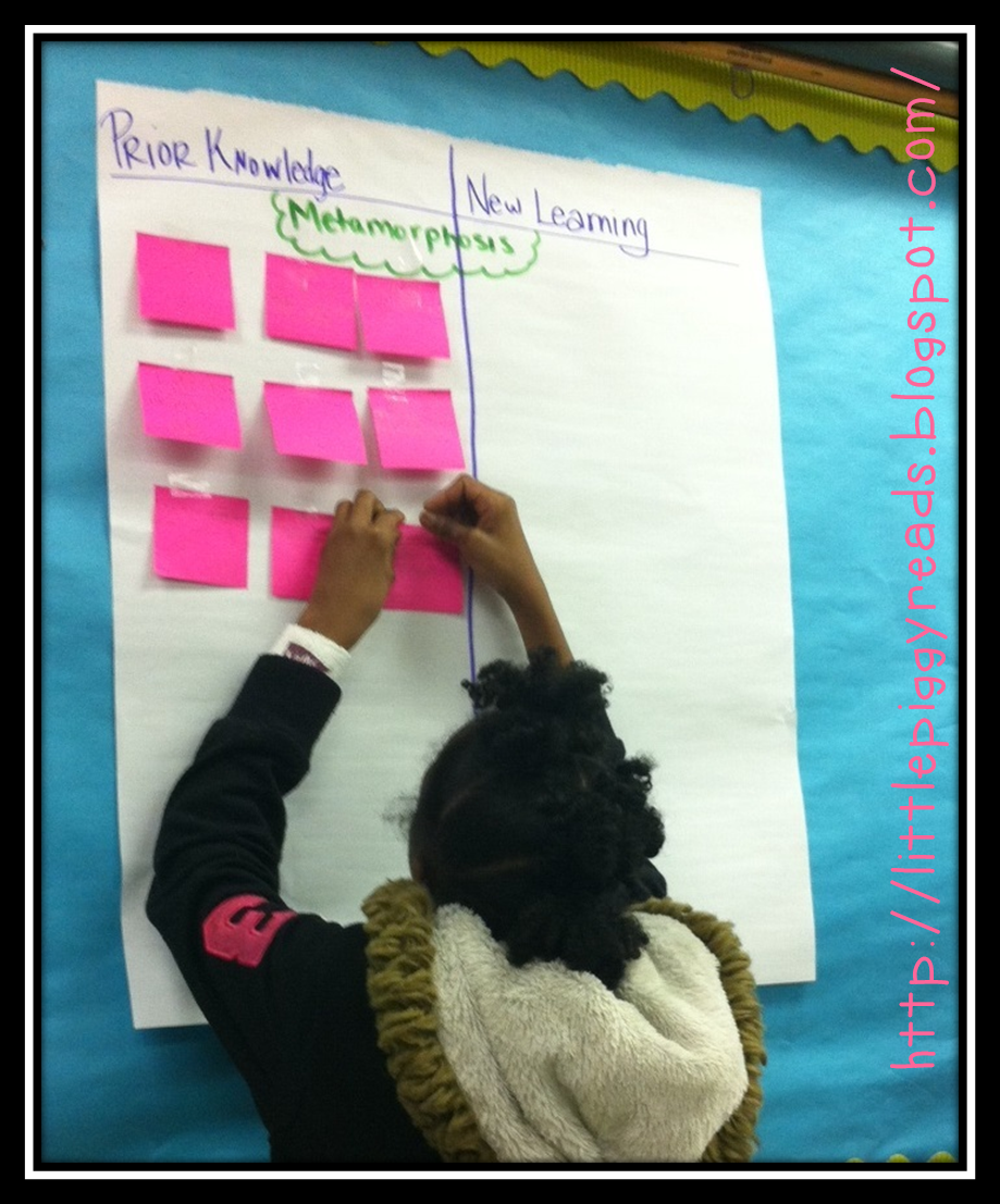 graphic organizer app adventures in literacy land venn diagram of complete and incomplete metamorphosis