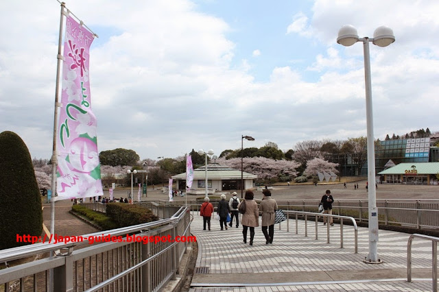 Sakura Osaka Expo70 Park