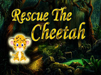 Top10NewGames - Top10 Rescue The Cheetah