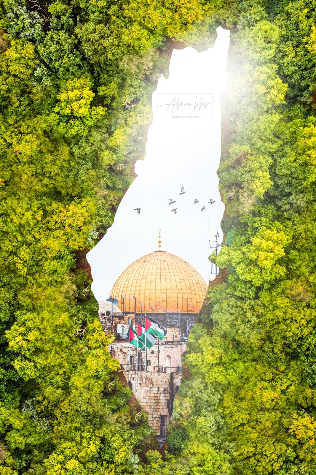 اجمل صورة لخارطة فلسطين والقدس تصميم جديد جنة الارض خارطة فلسطين