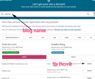 enter blog name and select free domain