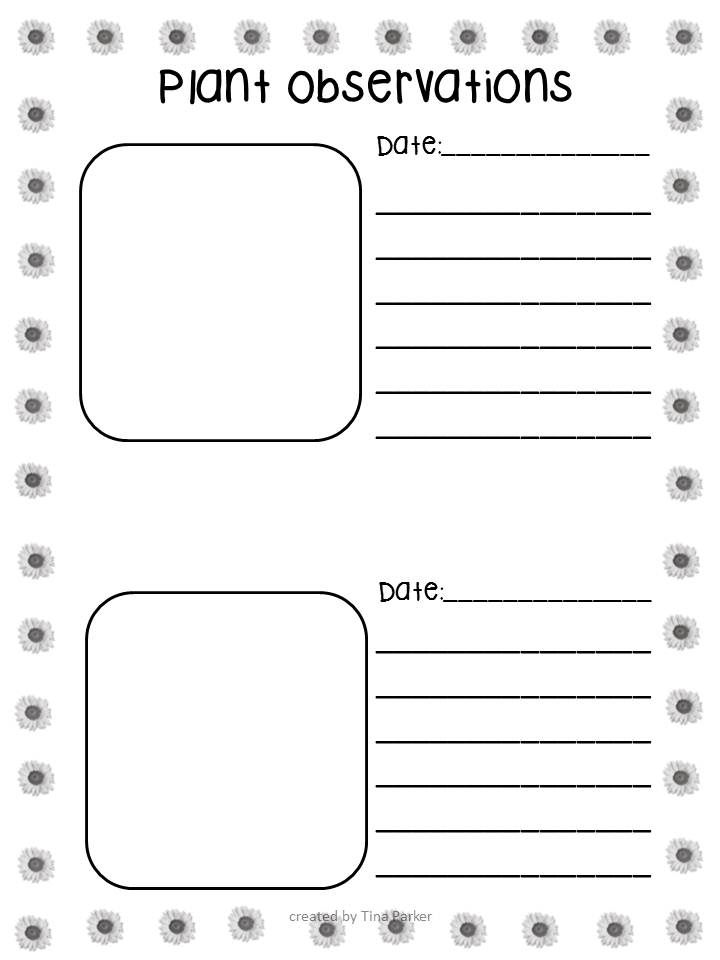 following-first-grade-with-mrs-parker-april-2013