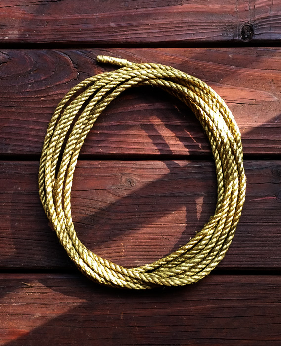 Dragon Born, the Phoenix Rises: Lasso of Truth