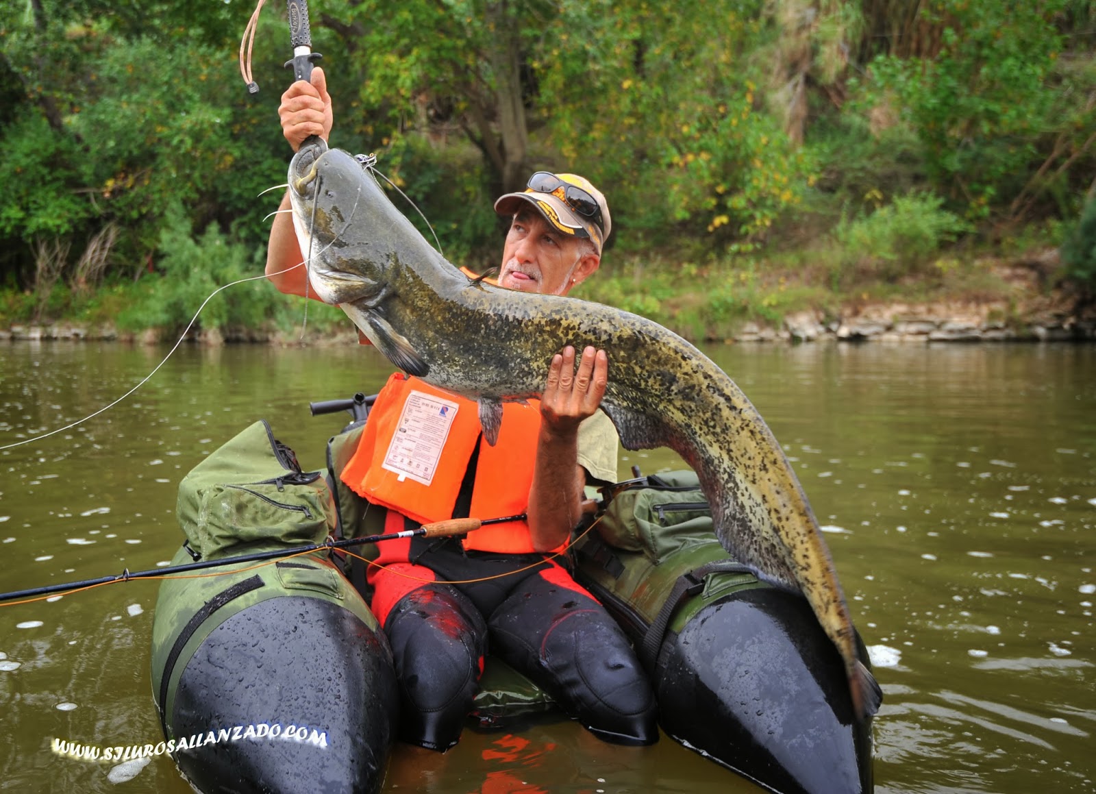 Pesca Al Siluro: Catturati Oltre 135 Esemplari, Ma La Battaglia è - Foto 6