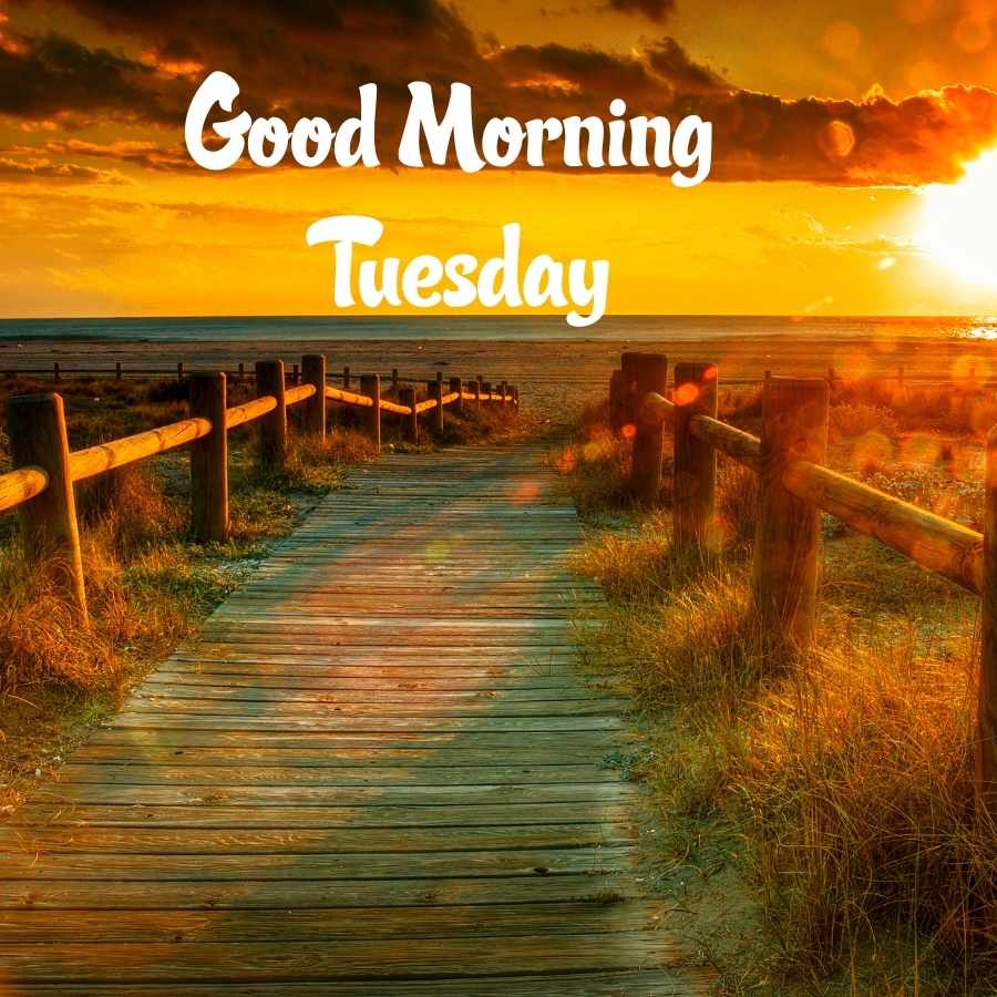 tuesday morning images