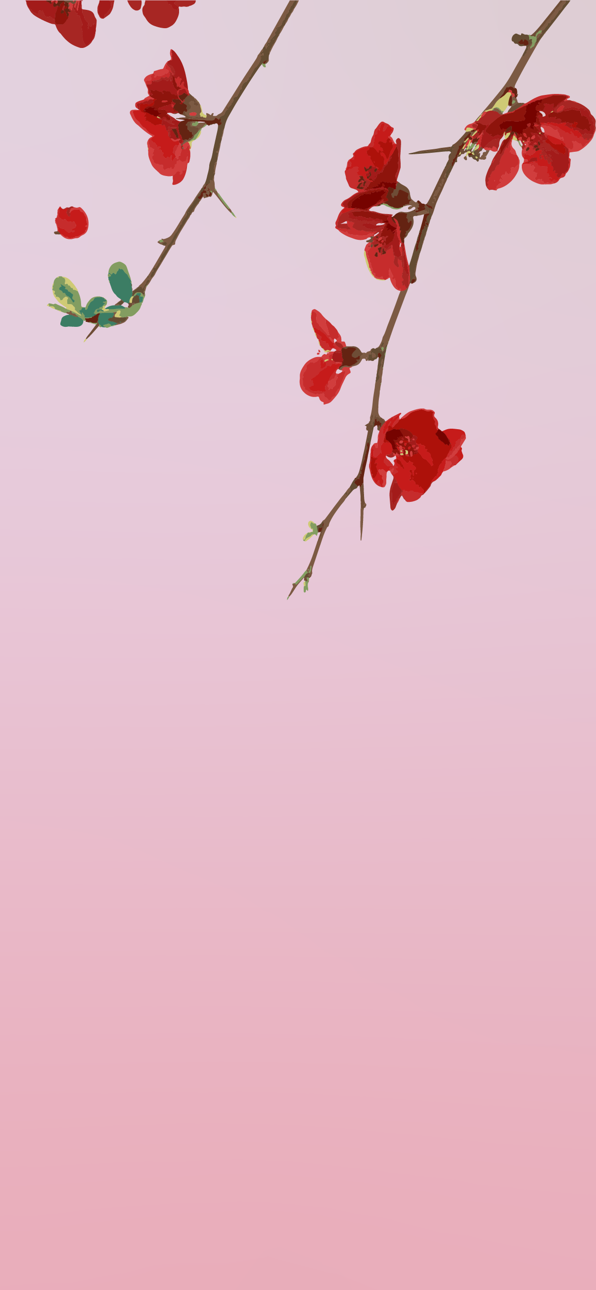 aesthetic flowers iphone wallpaper 4k