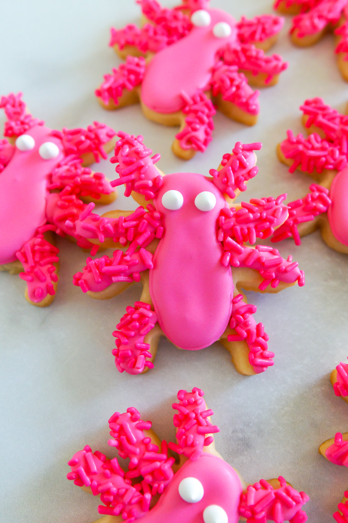 pink spider cute decorated halloween cookies