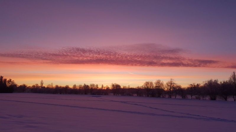 Sonnenaufgang über verschneitem Feld