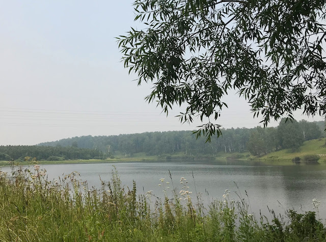 Новосибирская область, Жеребцово - озеро