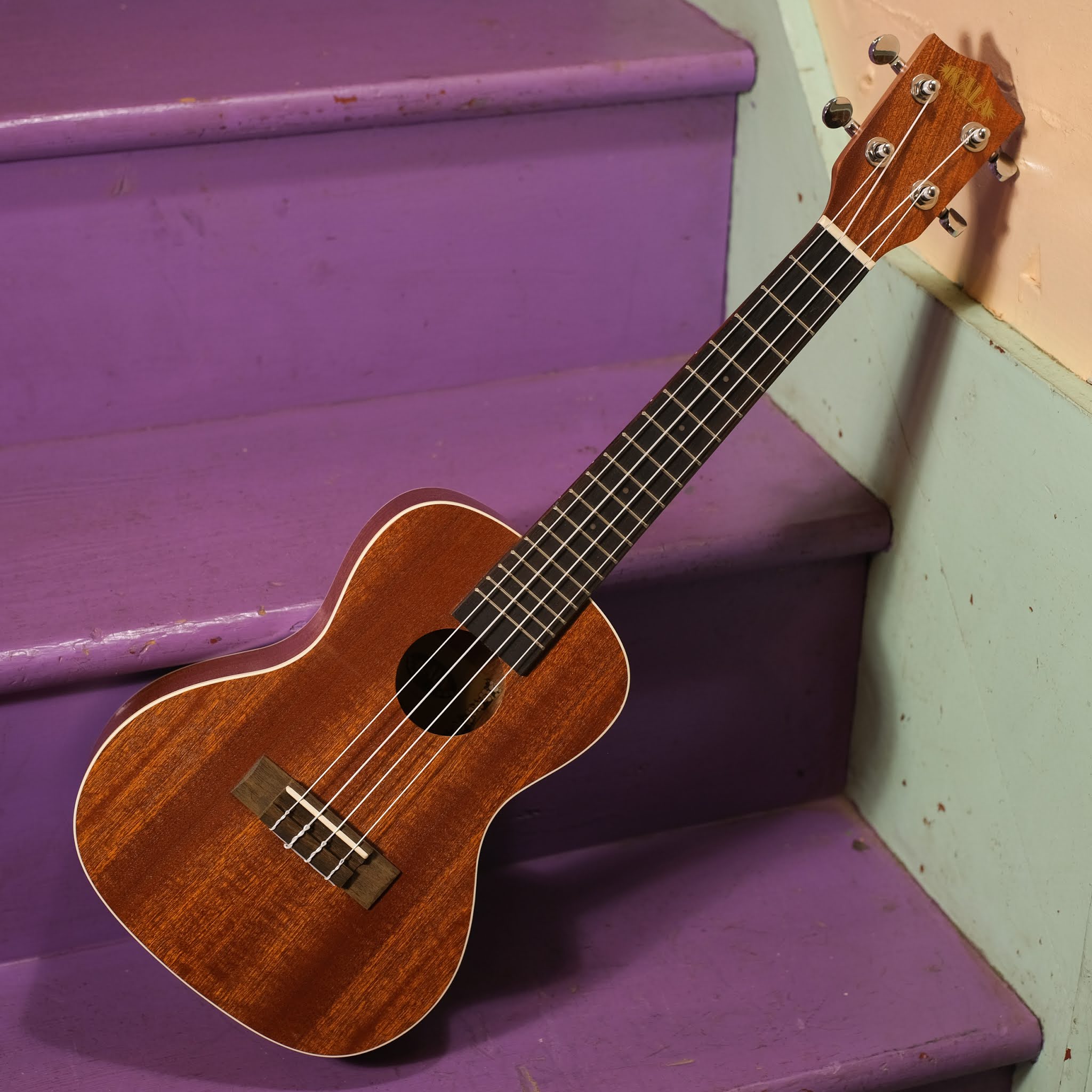 2010s Kala KAC Concert Ukulele