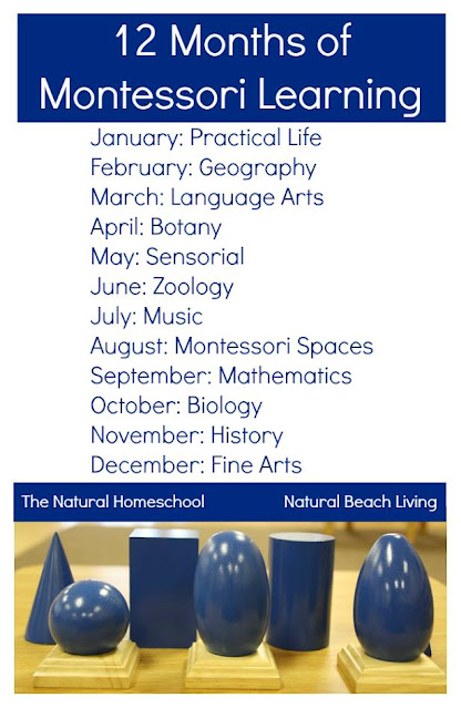 12 Months of Montessori Learning