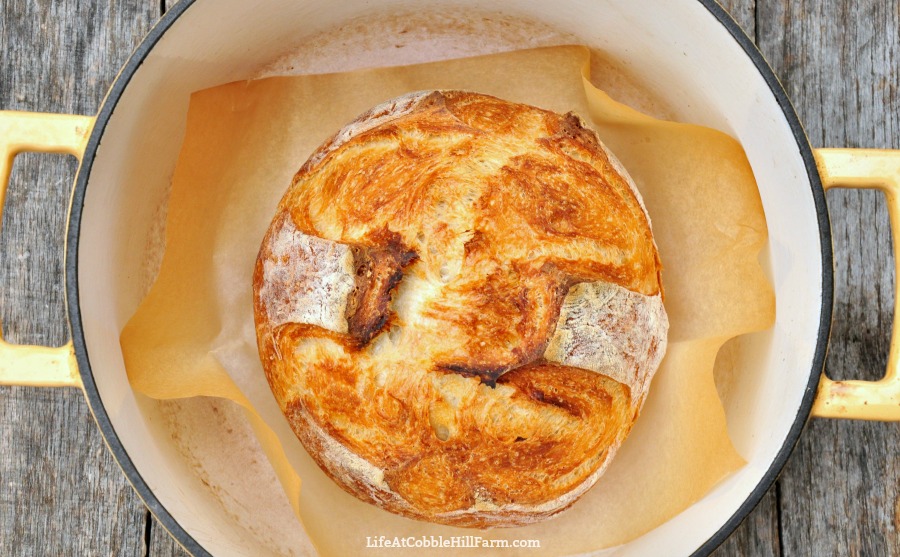 The Most DELICIOUS NoKnead Artisan Bread (White, Whole Wheat, or