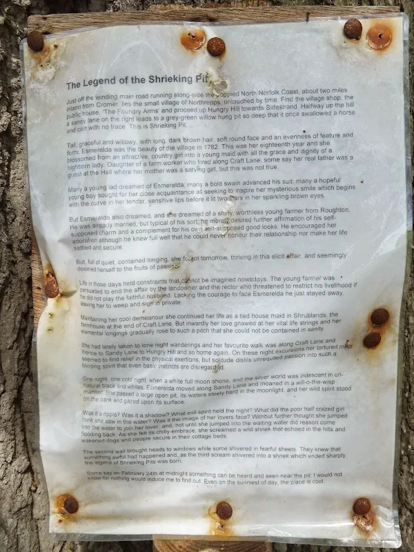The shrieking pit story