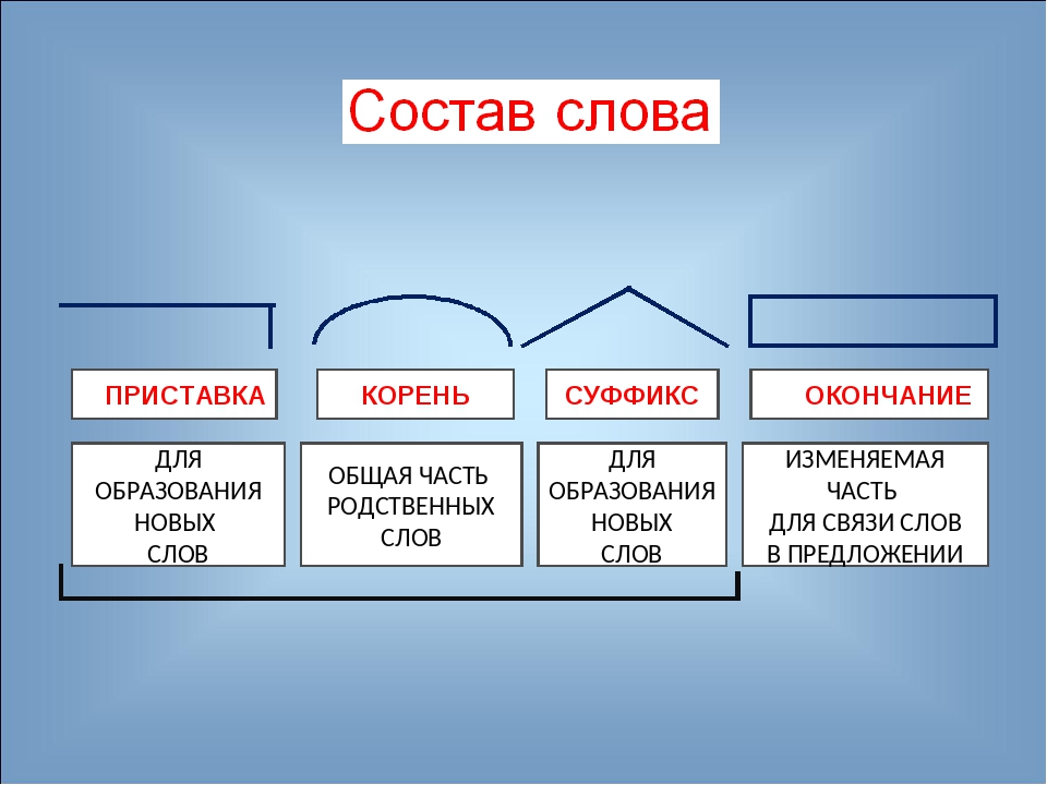 Какая основа в слове много. Основа слова. Что такое основа слова в русском языке. Основа слова 3 класс. Выделение основы снова.