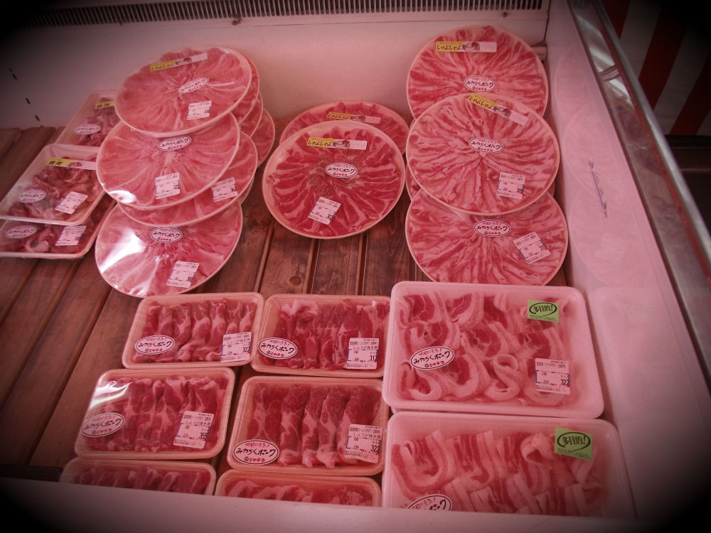 Big Brown Dog Primitives The Japan Chronicles Part 4