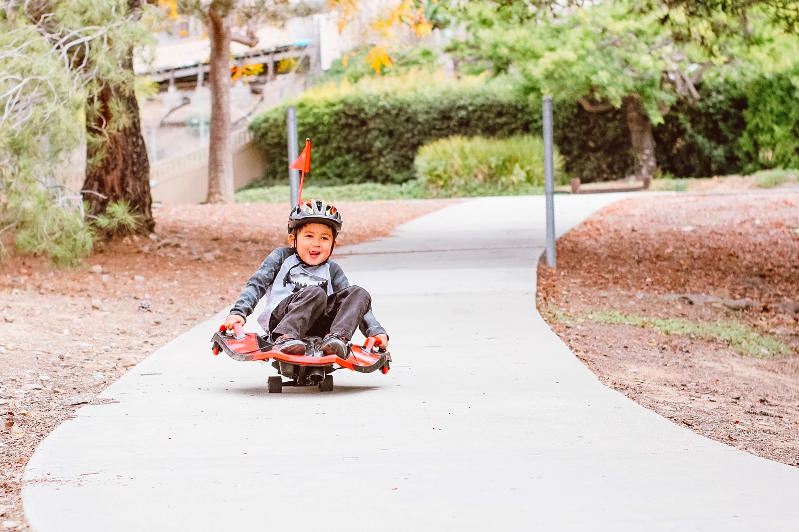 nighthawk thrill ride