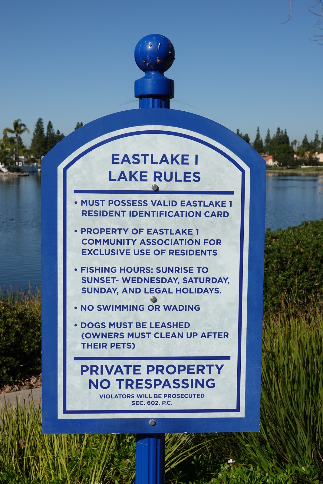 Looking for Lakes Eastlake