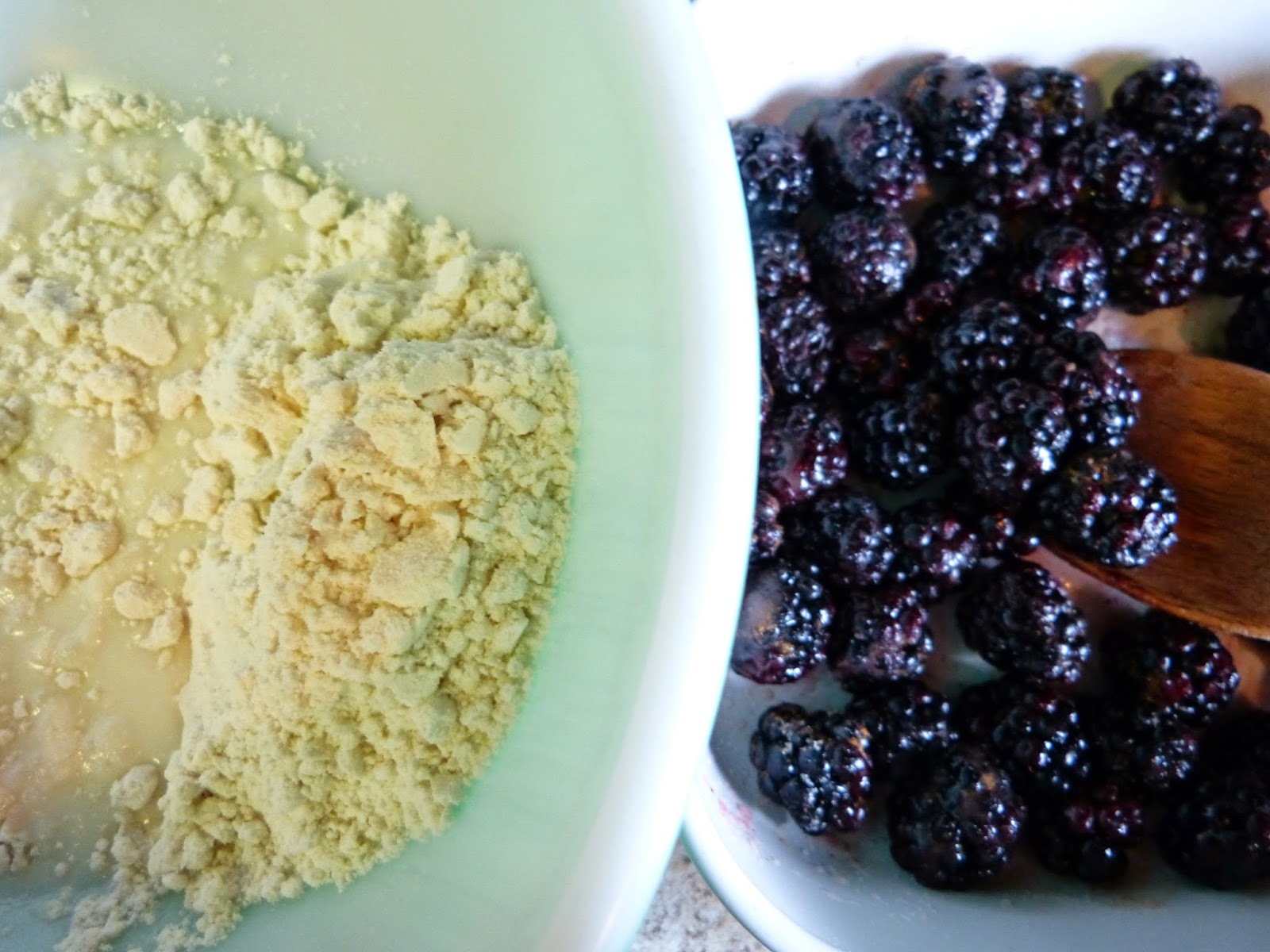 Monica Wilkinson Blackberries for Pepaw