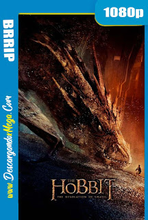 El Hobbit 2 (2013) Extendida HD 1080p Latino