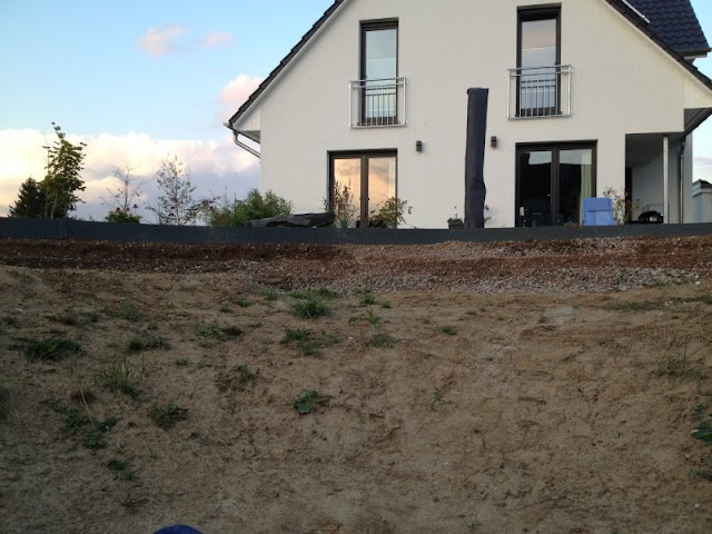 Mein Baublog: Teich, Terasse, Pflanzen, Schirm