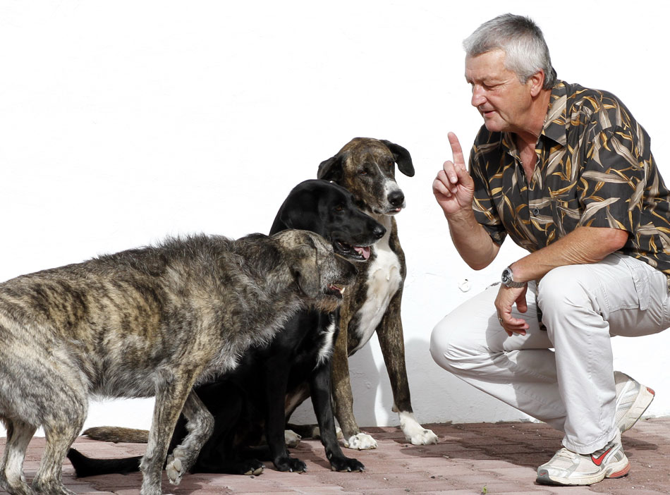 Hunde beherrschen mehrere Sprachen