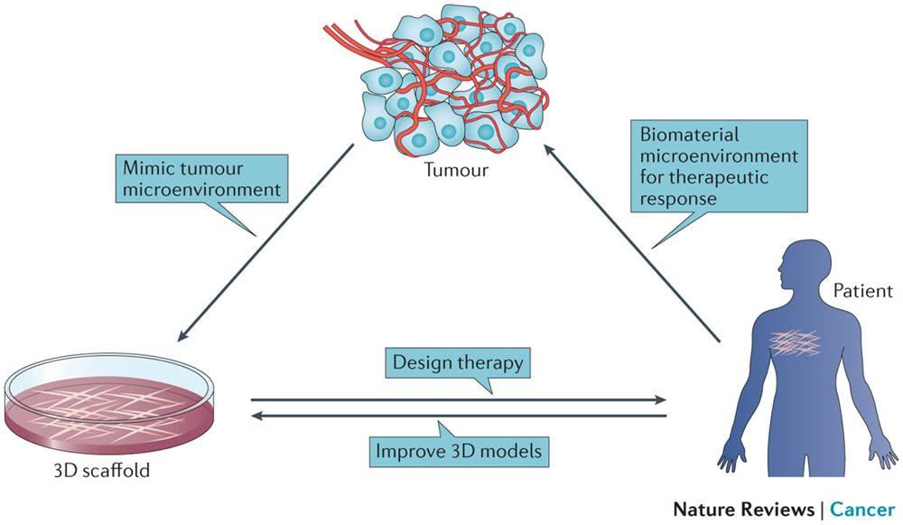 graphical abstracts, figures or statistics, designed appropriately