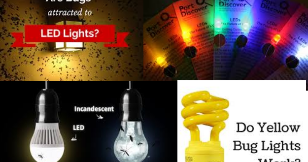How To Make My light Bulbs Attract Fewer Bugs - Household Tips and Tricks