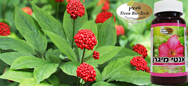 אתר ויטמין טבעון ביוטק