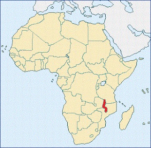 the Warm Heart of Africa