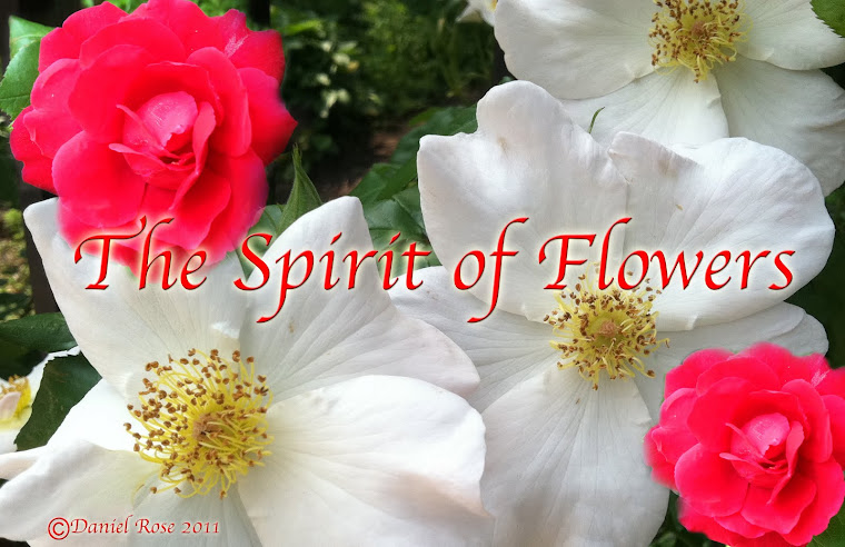 The Spirit of Flowers