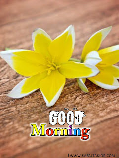 good morning beautiful flowers images