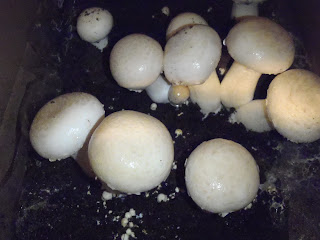 home grown mushrooms