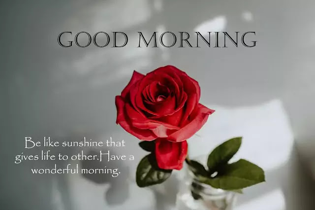 good morning images free download for whatsapp hd download good morning images free download for whatsapp hd download