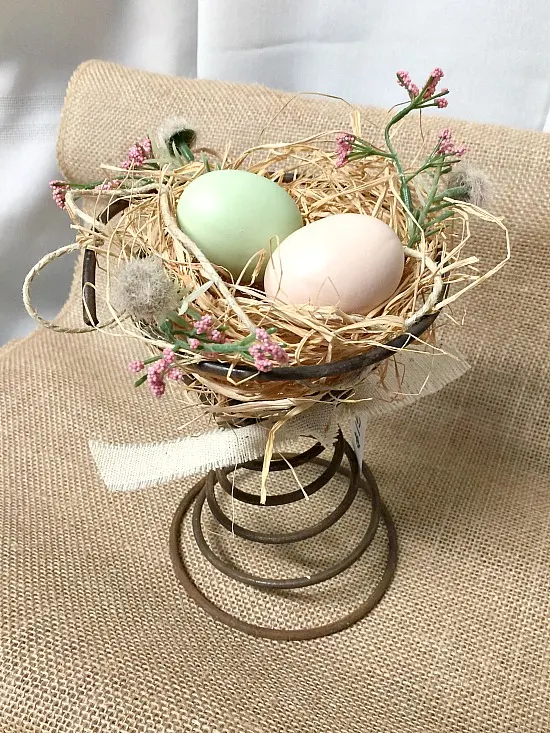 Nest with eggs on rusty spring