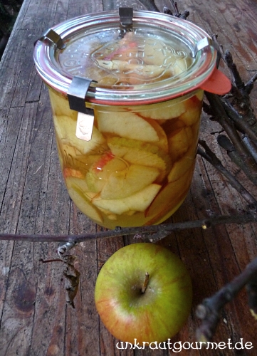 Apfel-Kvass-Bild