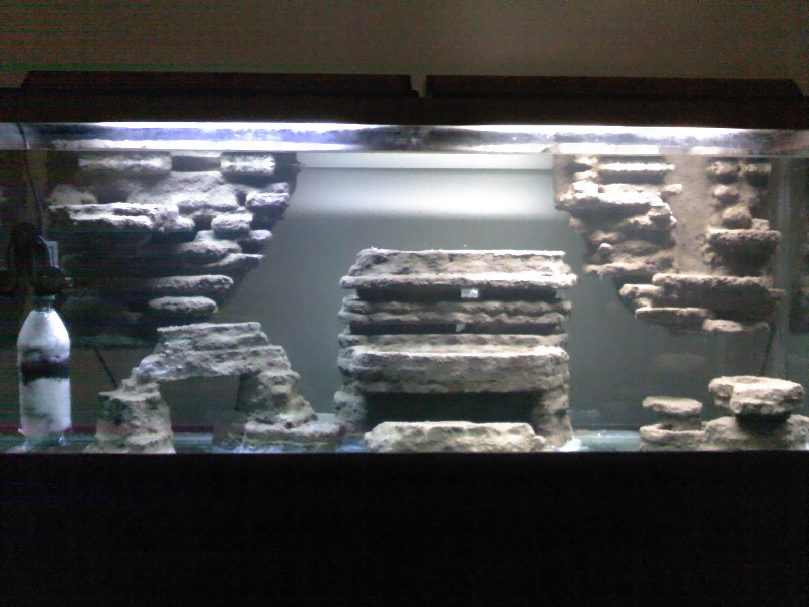 Jose's DIY Ideas Styrofoamcement aquarium background