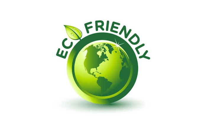 Why Choose to Go Eco-Friendly? (Green Living)
