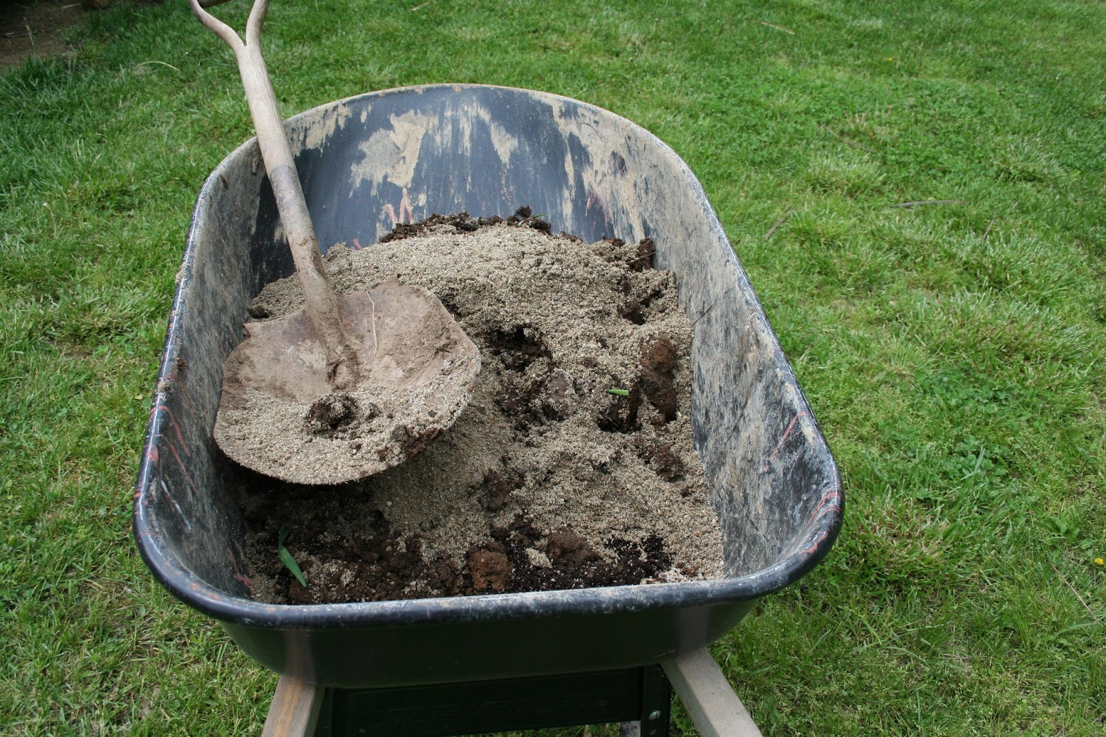 Chicken Scratch Poultry Planting Strawberries In An Old Chicken Feeder
