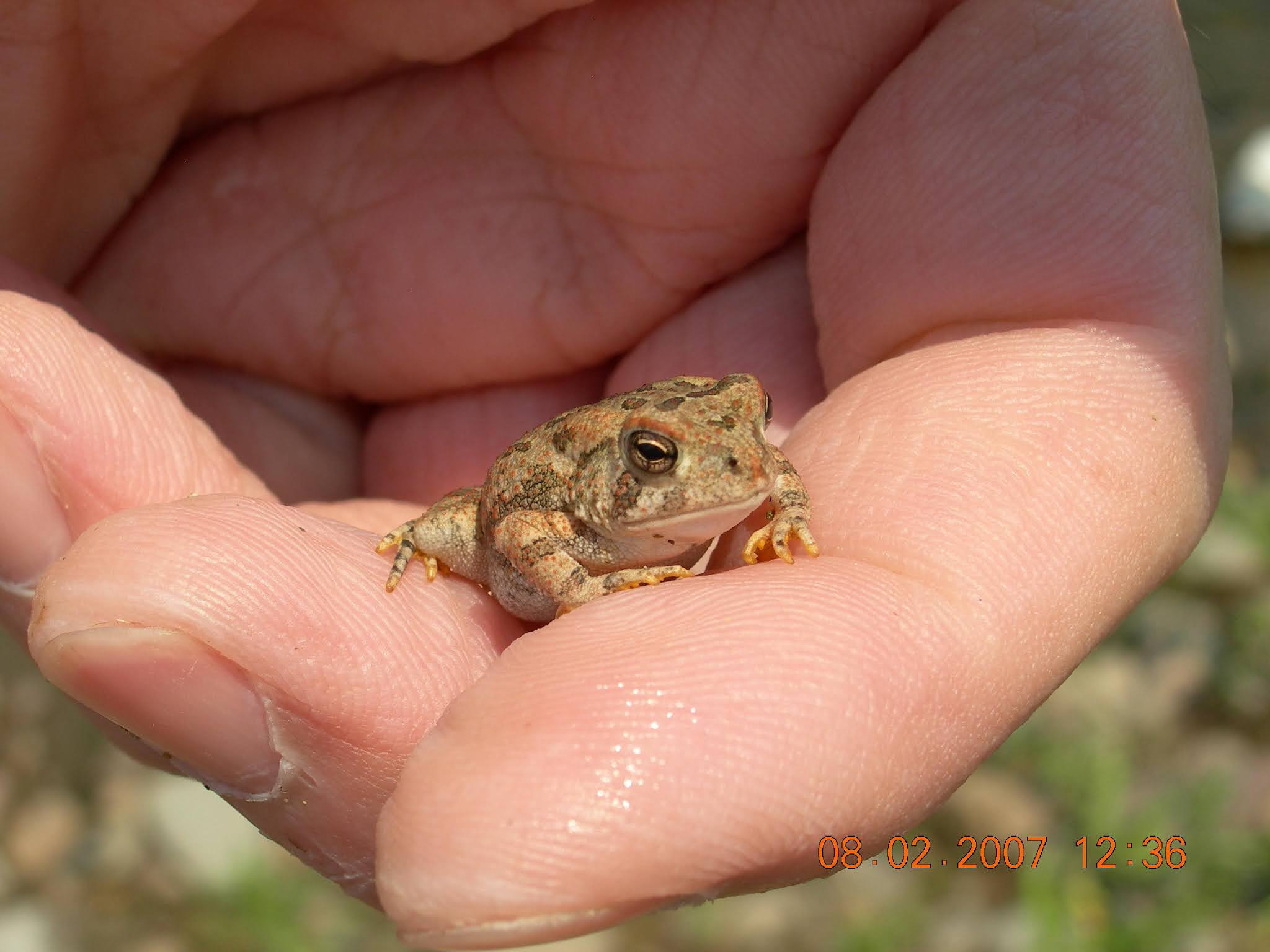 Mai Thai Wanderings Tubing on the Delaware River in Bucks County, Pa