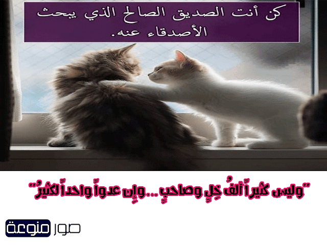 حكم منسوبة للامام علي