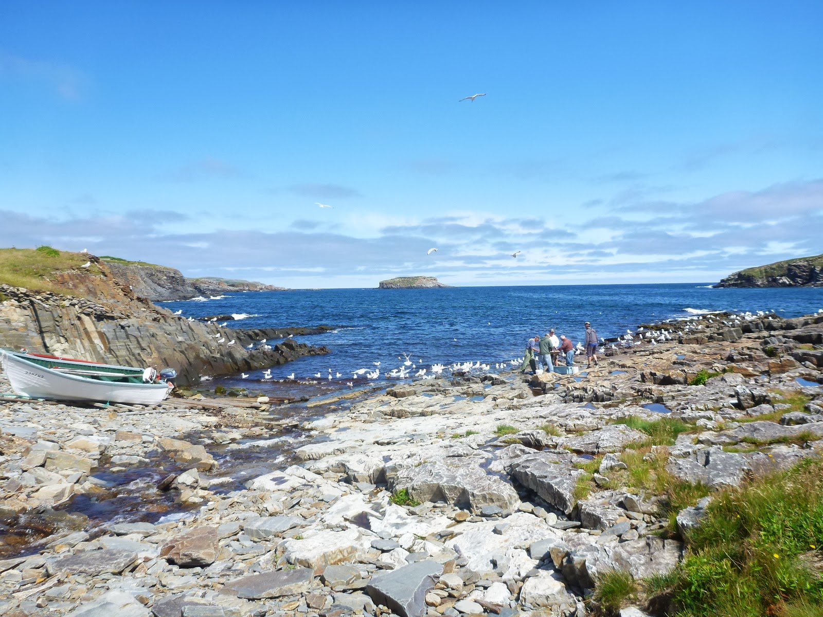 Acheter Un Bout De Terre En Ecosse Hélène et Jean à Terre-Neuve: Elliston et Bonavista