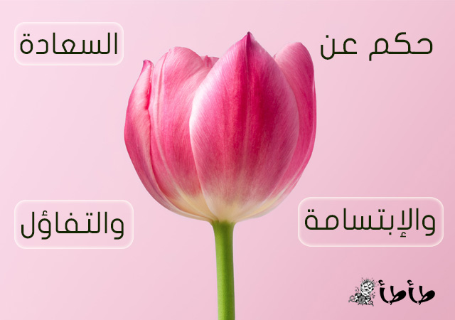 حكم عن السعادة والابتسامة والتفاؤل حكم عن، السعادة، الابتسامة، التفاؤل