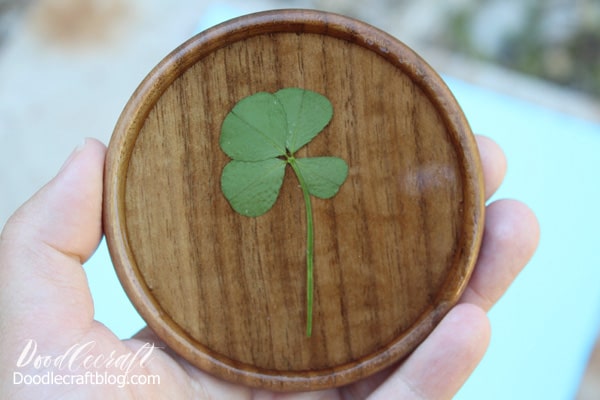 Four Leaf Clover Wood Coaster with Resin