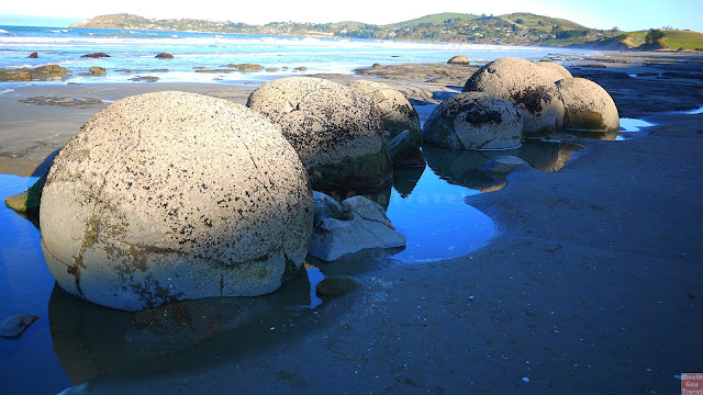 Moeraki Boulders,Oamaru,Dunedin,Araiteuru,藍眼企鵝,海豹,退潮,紐西蘭,南島,公路旅行,Moeraki