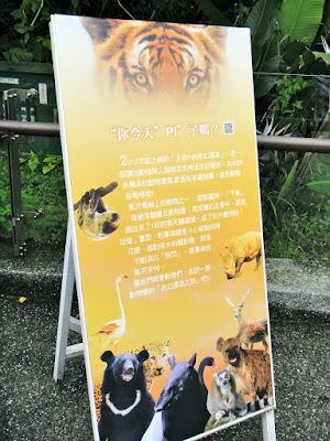 Reliving Life of Pi at Taipei Zoo Taiwan 