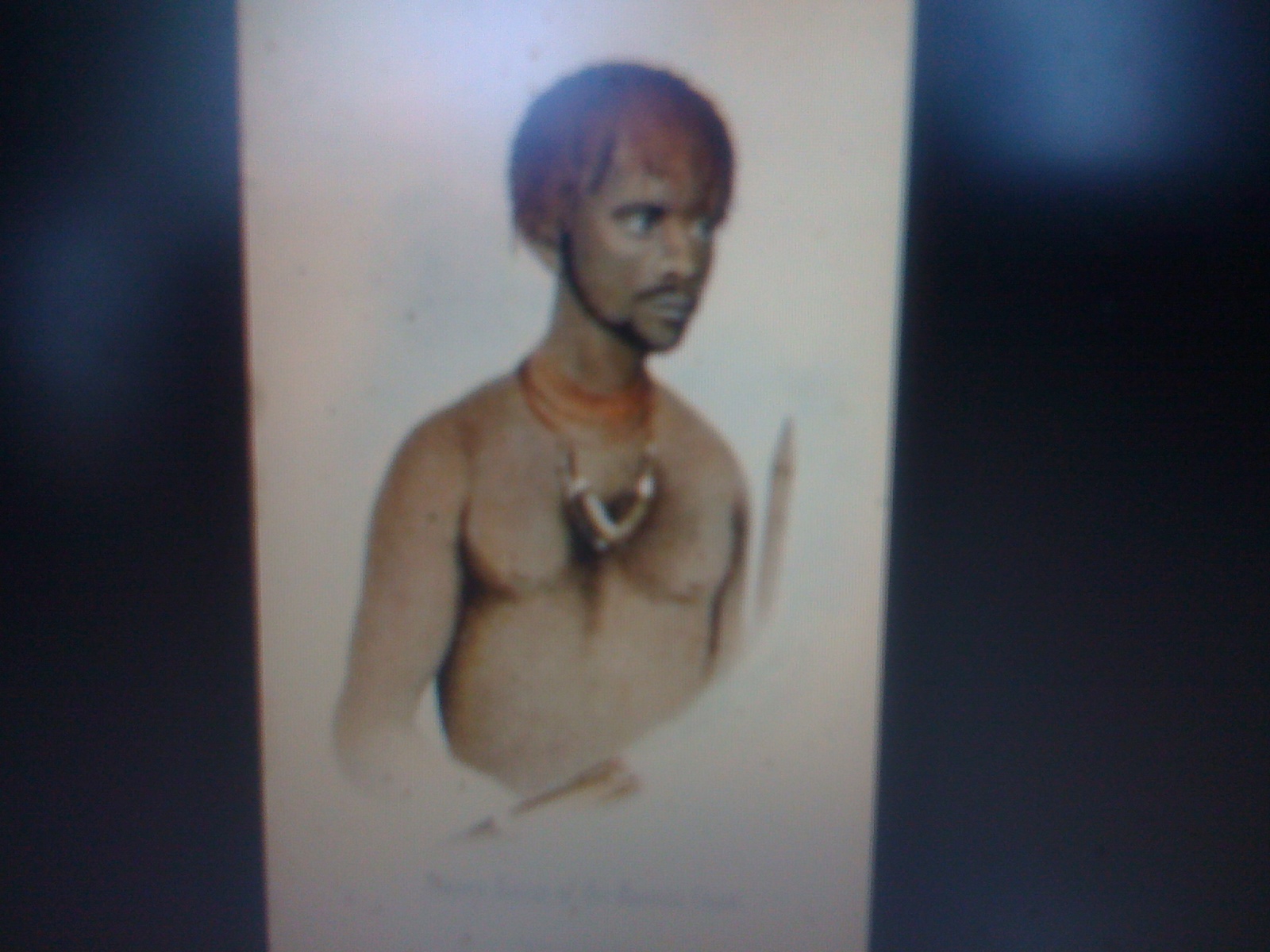 THE BLACK SOCIAL HISTORY BLACK SOCIAL HISTORY THE BLACK TASMANIANS