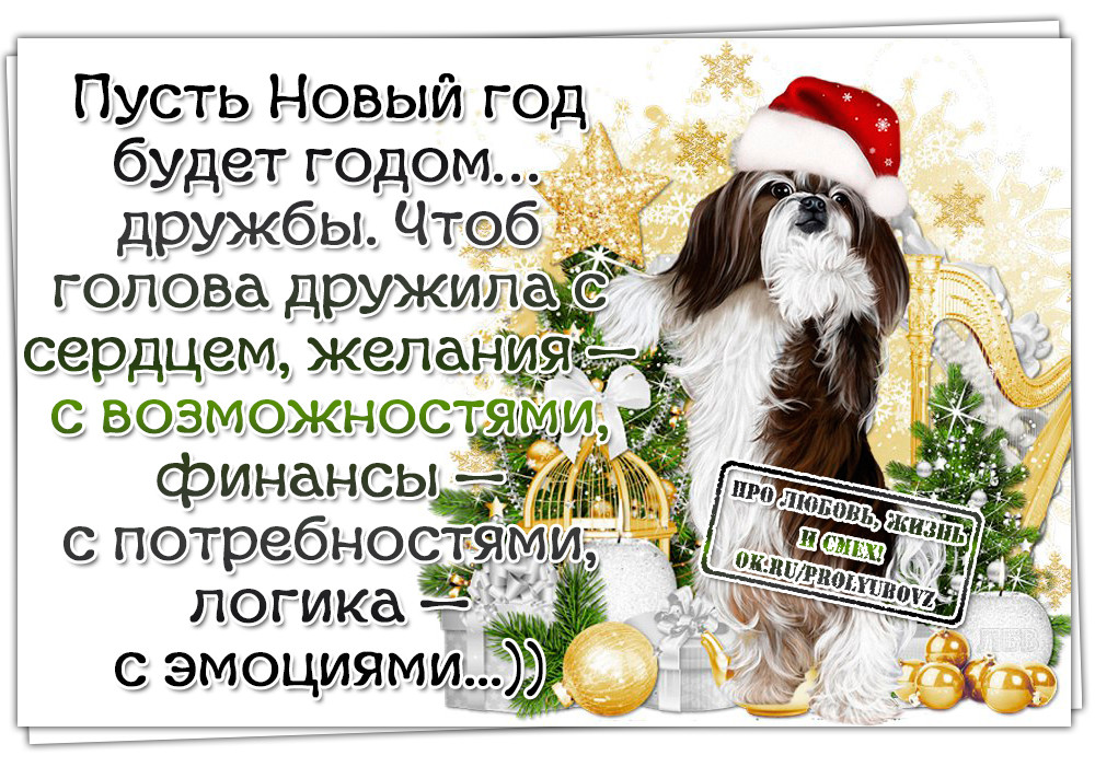 скоро новый год!. цитаты про новый год. новогодние веселые цитаты. высказывания про новый год. статус про новогодние выходные.